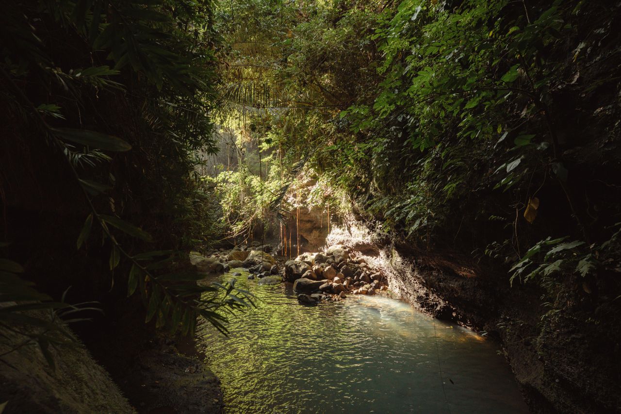 Between the Pitons